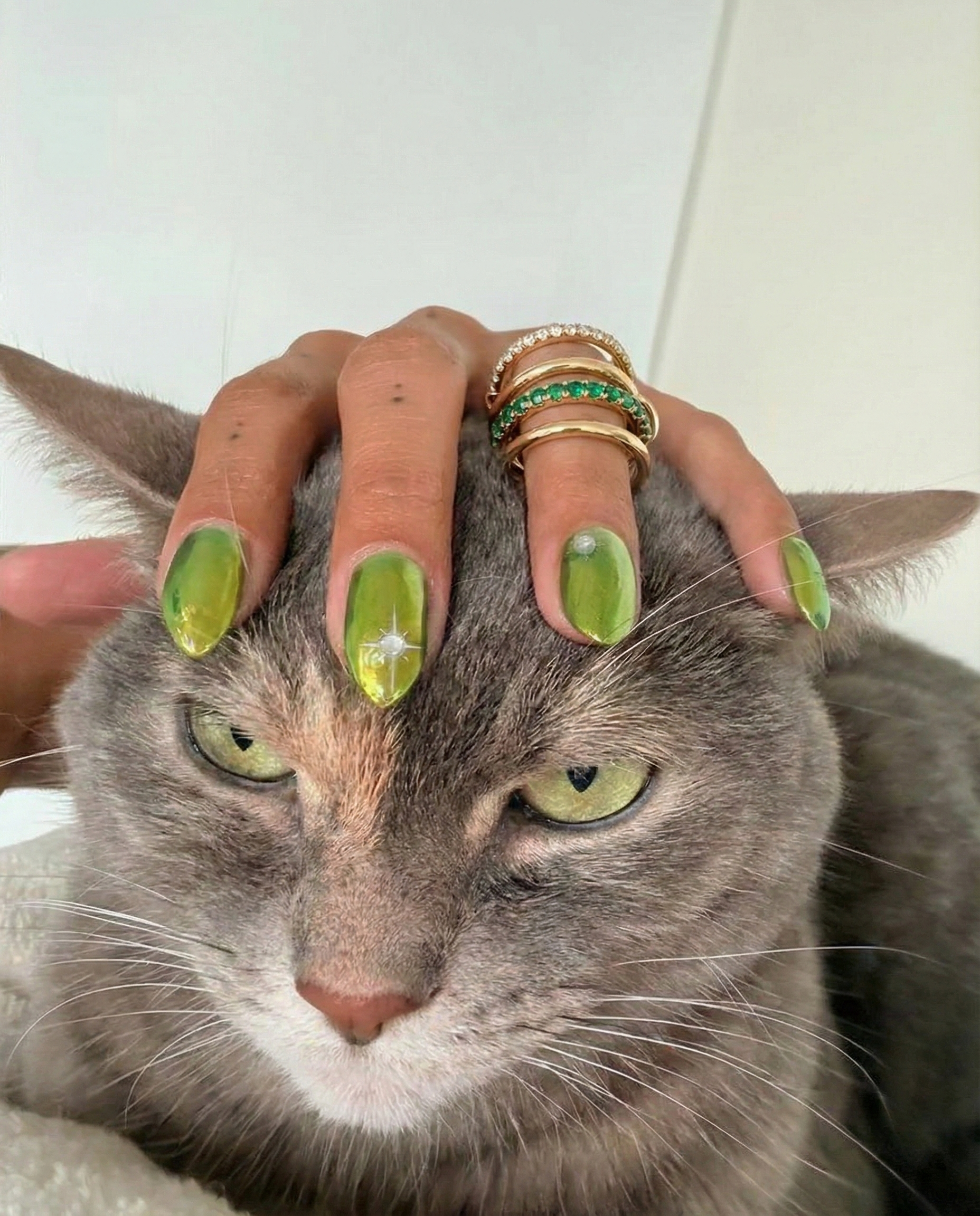 Long islands nella ring