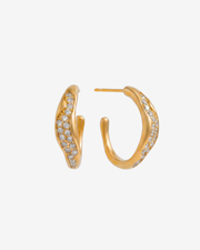 Hula earrings