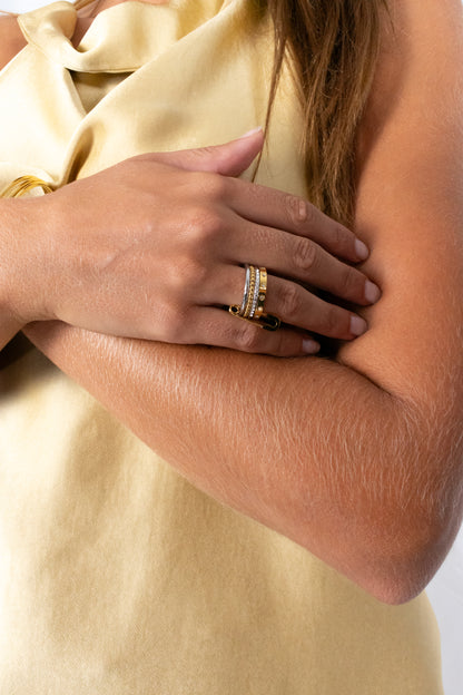 Paperclip nella ring