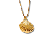 Shelly necklace - Opulaire