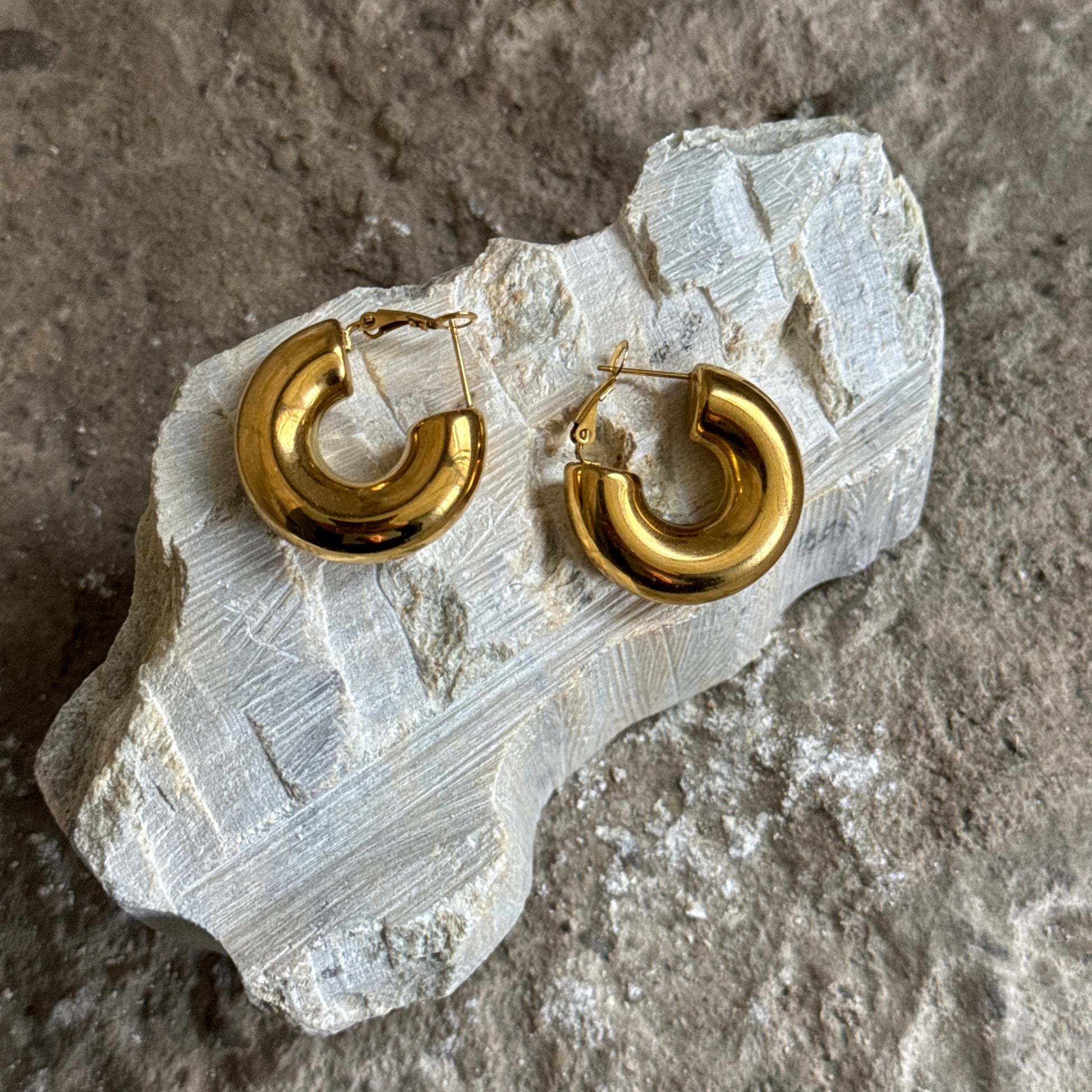 Cato earrings - Opulaire