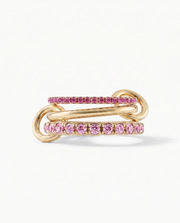 Macombs nella ring