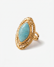 Terni ring