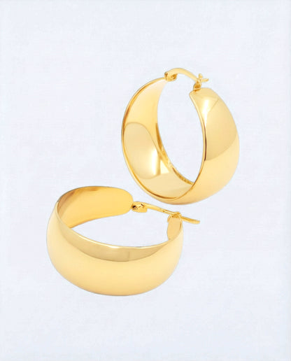 Poza earrings